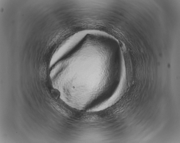 X0000067380642200604211609