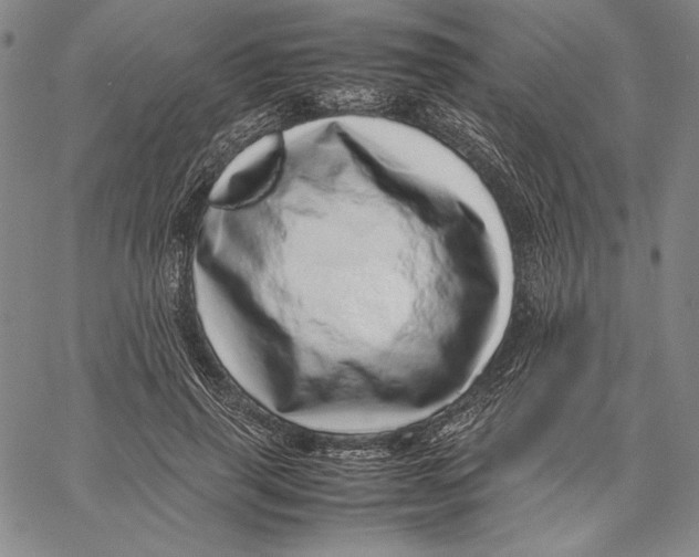 X0000067380645200604211609