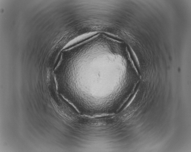 X0000067380646200604211609