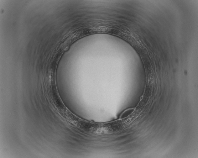 X0000067380647200604211609