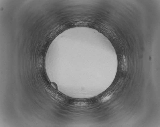 X0000067380649200604211609