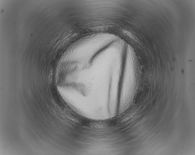 X0000067380652200604211609
