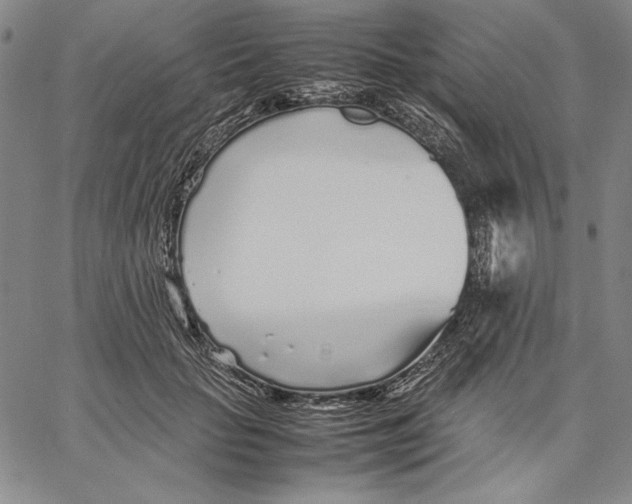 X0000067380653200604211609