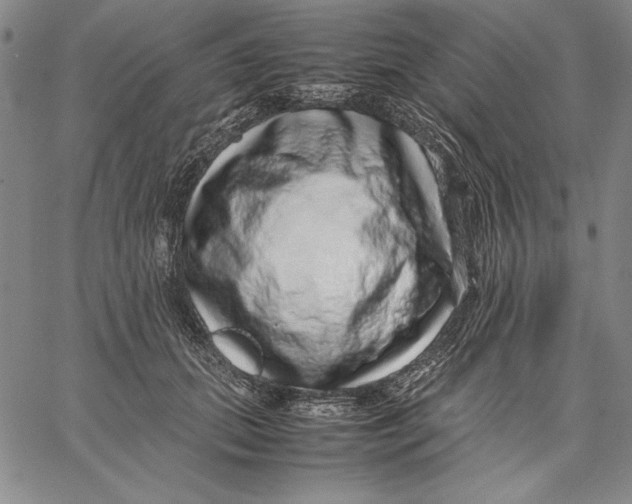 X0000067380655200604211609