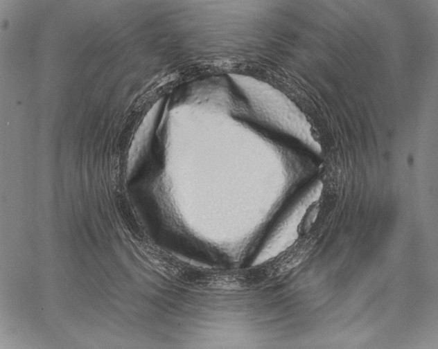 X0000067380656200604211609