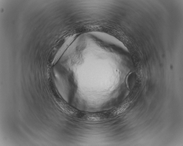 X0000067380658200604211609