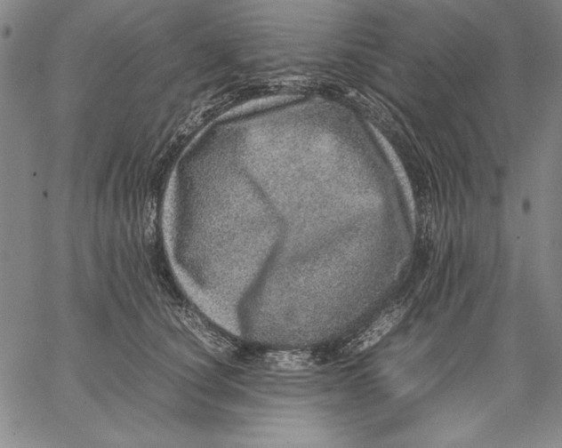 X0000067380660200604211609