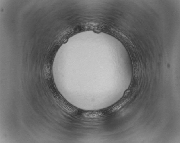 X0000067380661200604211609