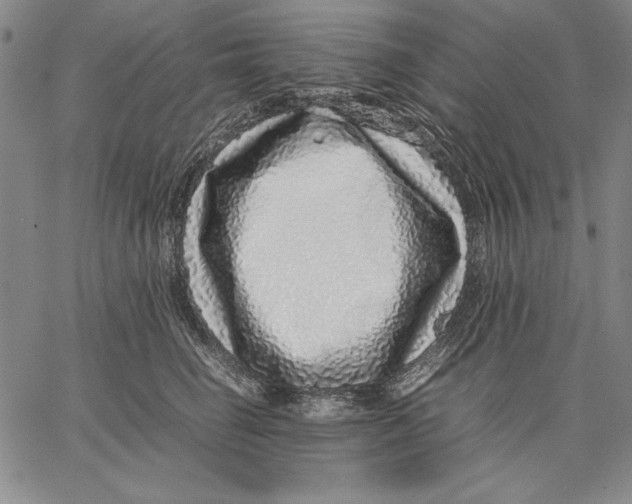 X0000067380662200604211609