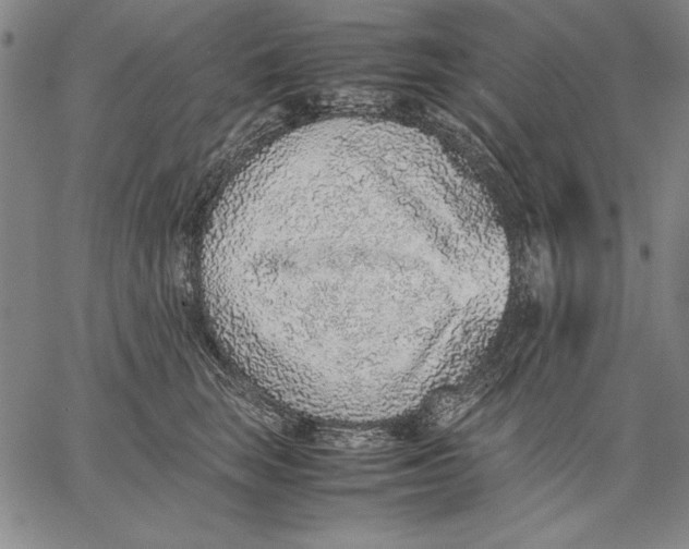 X0000067380663200604211609
