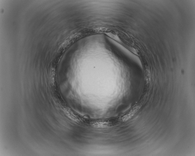 X0000067380664200604211609