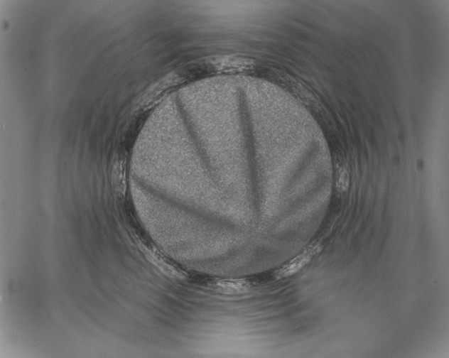 X0000067380666200604211609
