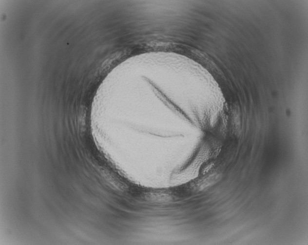 X0000067380668200604211609