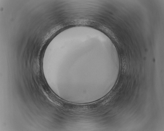 X0000067380674200604211608