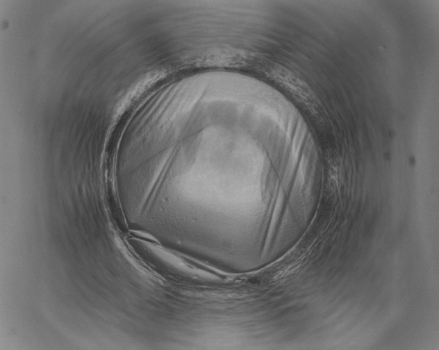 X0000067380678200604211608