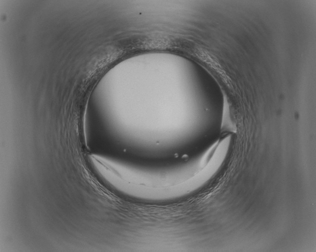 X0000067380681200604211608