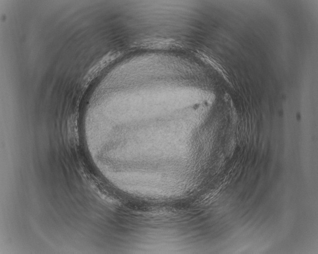 X0000067380682200604211608