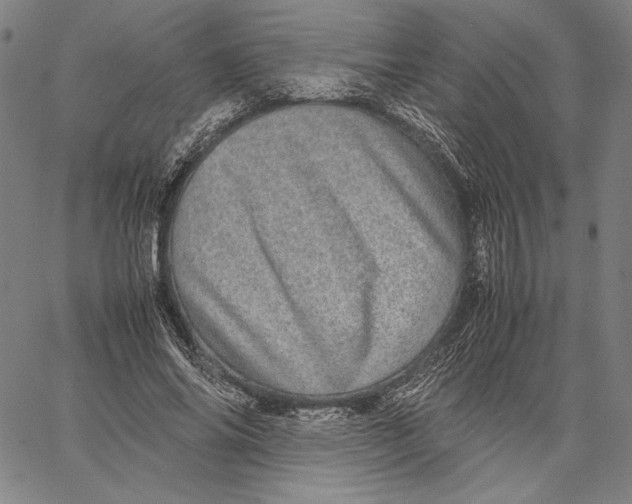 X0000067380686200604211608