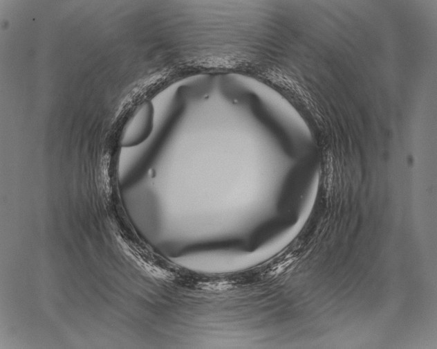 X0000067380688200604211608