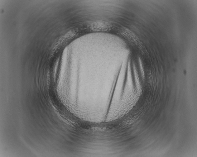 X0000067380690200604211608