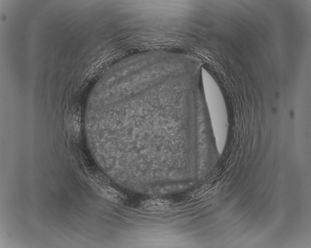 X0000067380691200604211608