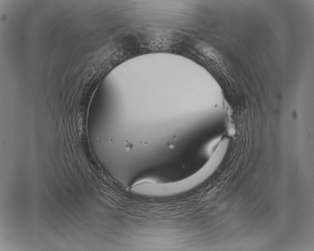 X0000067380697200604211608