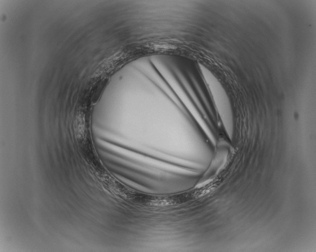 X0000067380704200604211608