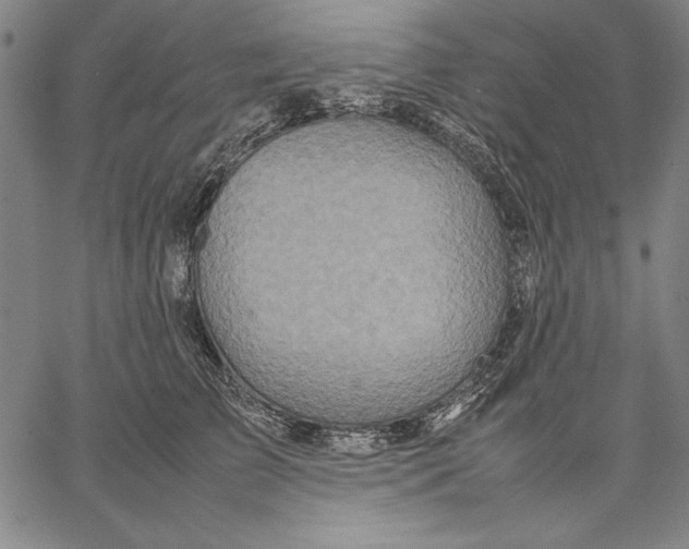 X0000067380709200604211608