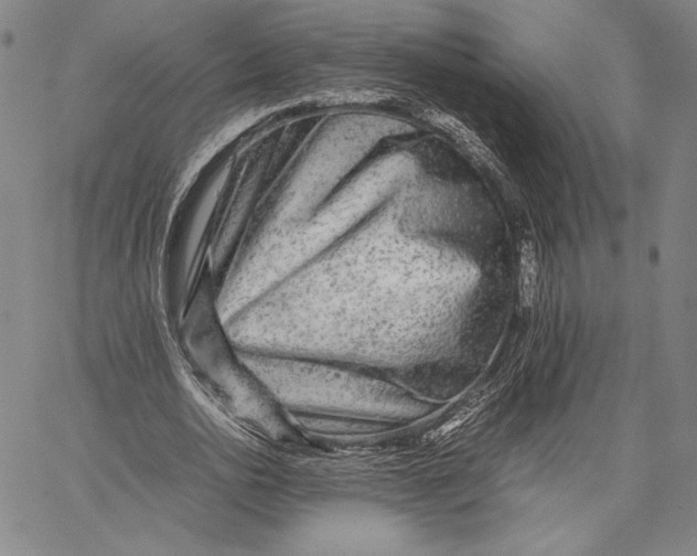 X0000067380726200604211607