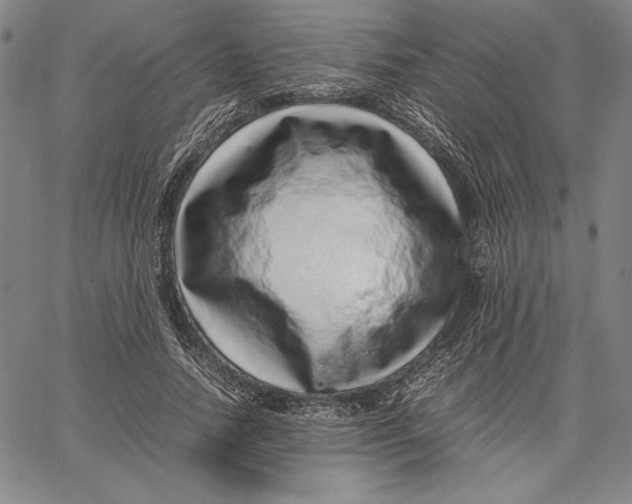 X0000067380738200604211607