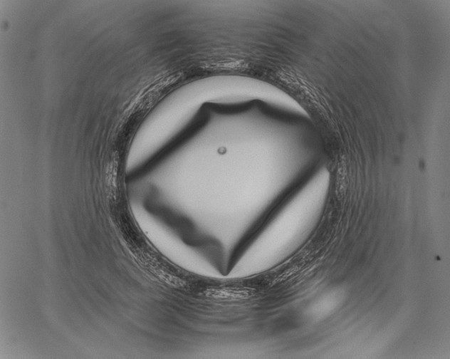 X0000067380739200604211607
