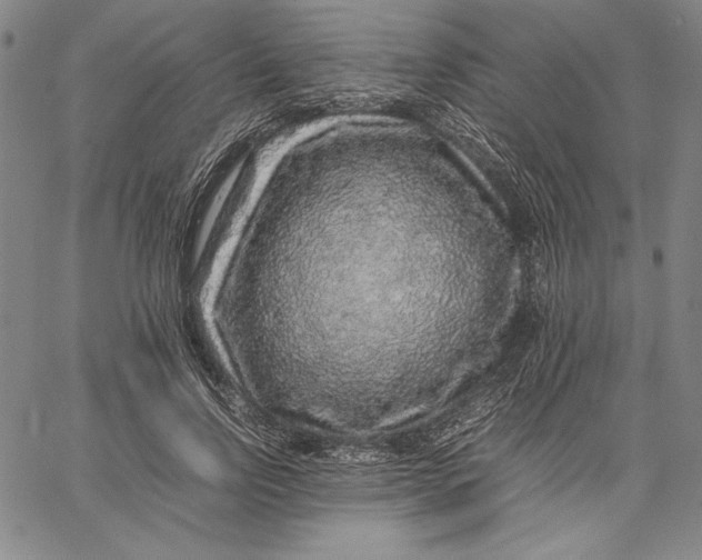 X0000067380742200604211607