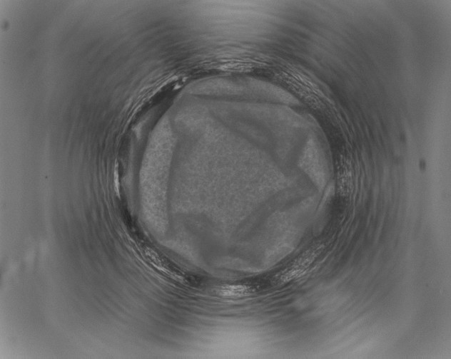 X0000067380748200604211607