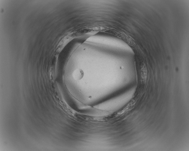 X0000067380762200604211608