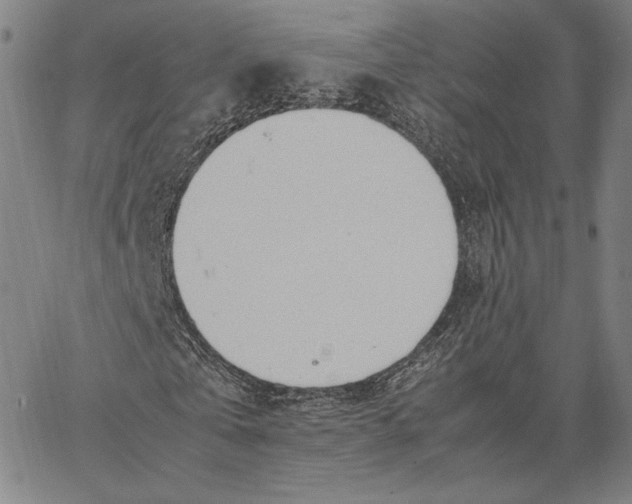 X0000067380769200604211607