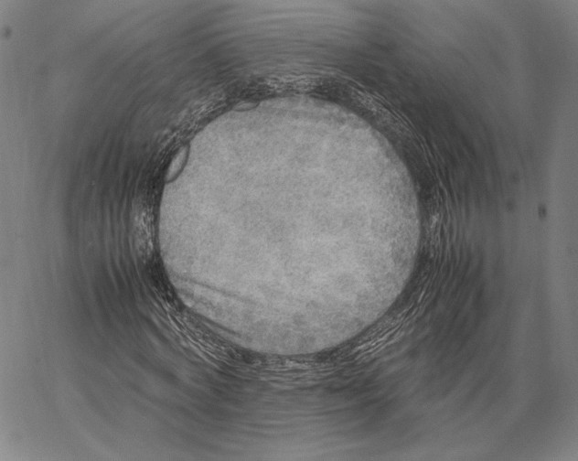 X0000067380772200604211607