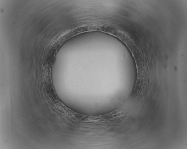 X0000067380773200604211607