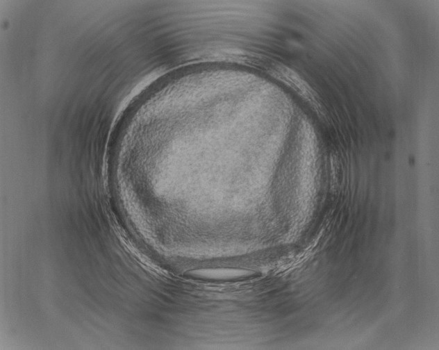 X0000067380780200604211607