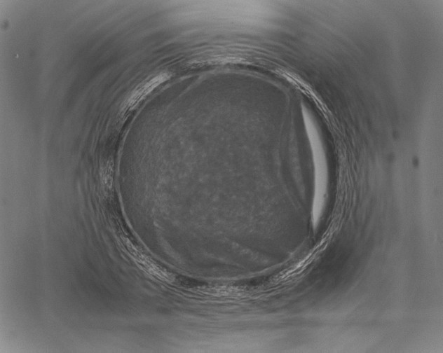 X0000067380785200604211607