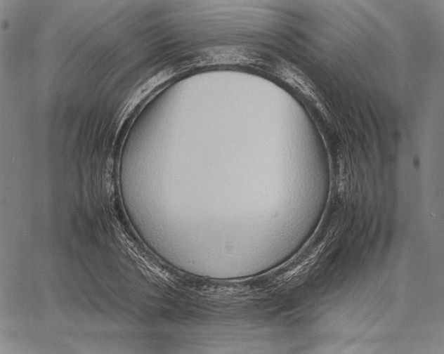X0000067380786200604211607