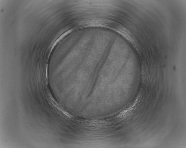 X0000067380790200604211607