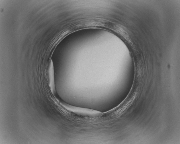 X0000067380793200604211606