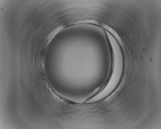 X0000067380809200604211606