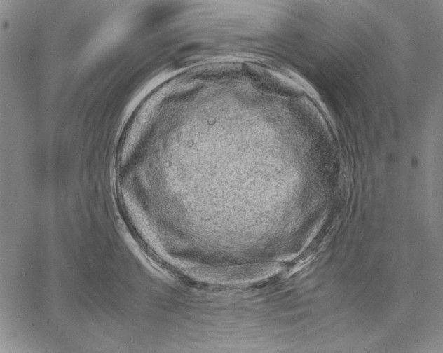 X0000067380811200604211606