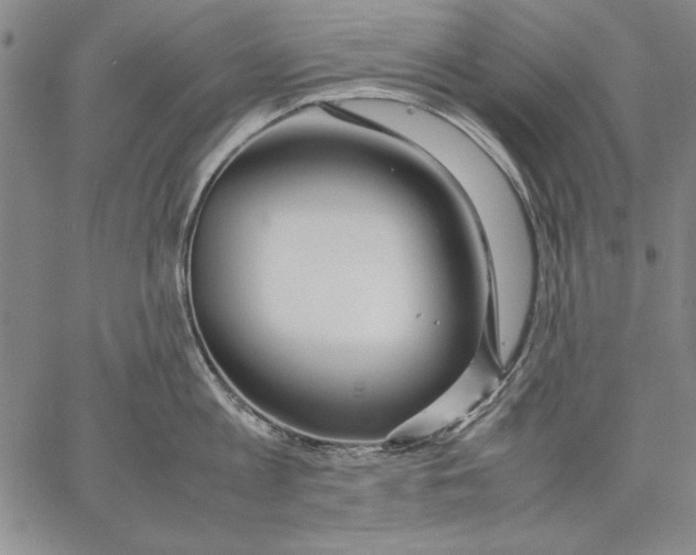 X0000067380813200604211606