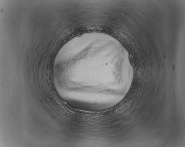 X0000067380817200604211605