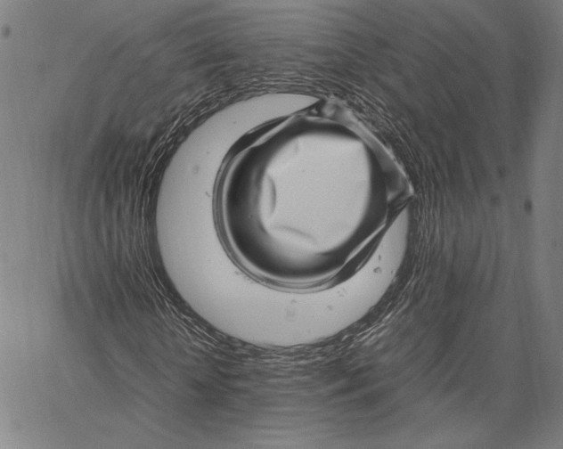 X0000067380818200604211605