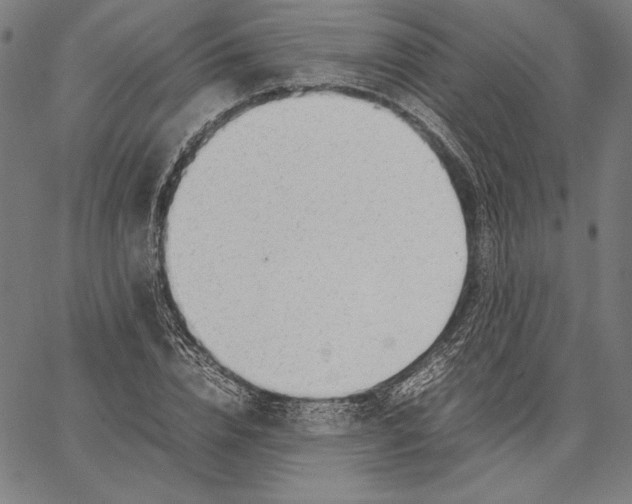 X0000067380832200604211606