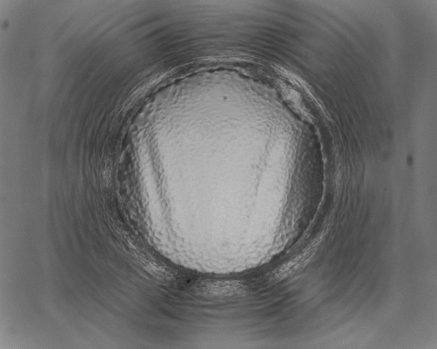 X0000067380833200604211606