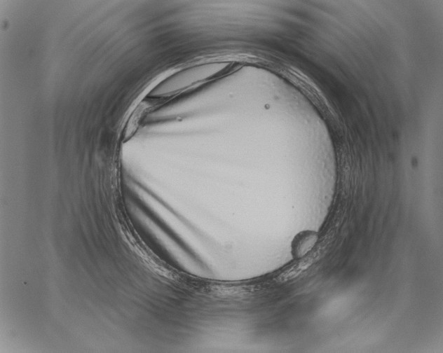 X0000067380852200604211606